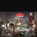 Timothy Colston - @timothy.colston.773 - Instagram