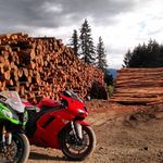Timothy Colvin - @tcolvs - Instagram
