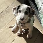 Tim Conlin - Facebook