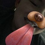 Quinton Timothy Corey Spence - @lmaohomo178 - Instagram