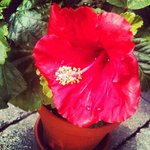 Timothy Coss - @timothycoss - Instagram