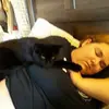 Kitty cat mamma - @timothycousins - TikTok