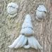 Timothy Crafton - Facebook