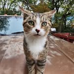 Timothy Cram - @timothy.m.cram - Instagram