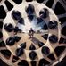 Timothy Crites - Facebook