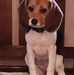 Timothy Criteser - Facebook