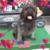 Timothy Crowder - Facebook