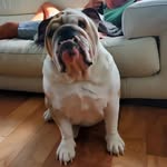 T. Cunha - @timothycunha77 - Instagram
