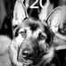 Timothy Danley - Facebook
