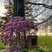 Tim Danforth - Facebook