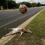 Timothy Danforth - @danforthtimothy - Instagram
