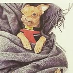 timothy darrian hill - @timothy_darrian_hill - Instagram