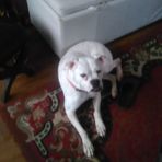 Timothy Dechant - Facebook