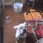 Timothy Dechant - Facebook