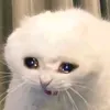 TimothyDeckerzg - @timothydeckerzg - TikTok