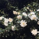 Timothy Dejong - @dejong.timothy - Instagram