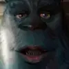 Timothy De Lorme - @timothydelorme0 - TikTok