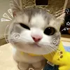 ☯TℐℳᎾᏆℋᎽ - @timothy.mende - TikTok