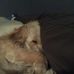 Timothy Denman - Facebook