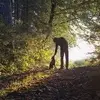 Timothy Derstine - @timothy.derstine - TikTok