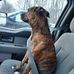 Timothy Teal - Facebook