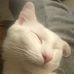 Timothy Dill - Facebook