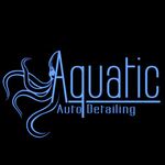 Timothy Dinger, CD-SV - @aquaticautodetailing - Instagram