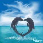 Timothy Williams - @timothy_dolphins_101 - Instagram