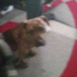 Timothy Dotson - @dotsontimothy66 - Instagram
