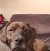Timothy Downey - Facebook