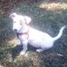 Timothy Dube - Facebook