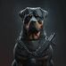 Tim Duckett - Facebook