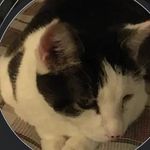 Timothy Duda - @timothy_dudai - Instagram