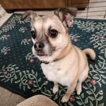 Timothy Eagle - @eagletimothy - Instagram
