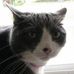 Timothy Eastman - Facebook