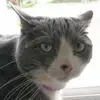 timothyeastman6 - @timothyeastman6 - TikTok