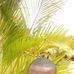 Timothy Erick - Facebook
