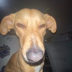 Timothy Escobar - Facebook
