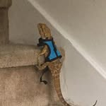 Timothy Esparza - @esparza_timothy - Instagram
