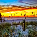 Timothy Ewing - Facebook