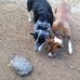 Timothy Falk - Facebook