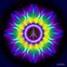 Timothy Fanning - Facebook