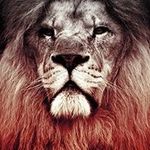 Timothy Farrell - @tim765friction - Instagram