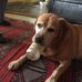 Tim Farrington - Facebook