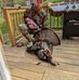 Timothy Farrington - Facebook