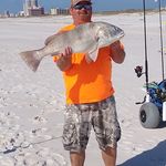 Timothy David Faulk - @timothydavidfaulk - Instagram