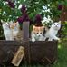 Timothy Fee - Facebook