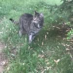 Timothy Feller - @brookesfeller - Instagram