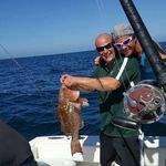 Timothy Feltman - @feltmantimothy - Instagram
