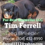 Timothy Ferrell - @fur_real_rottweilers - Instagram